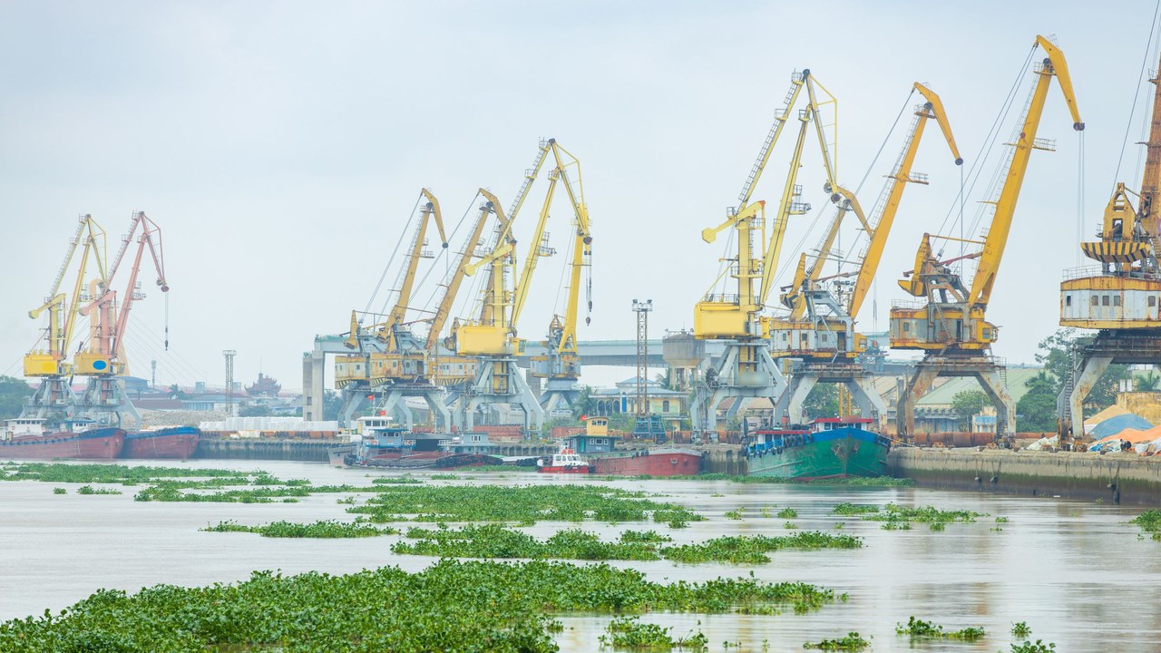 Row of yellow harbour cranes and moored cargo barges along a river port quay with water hyacinth in the foreground