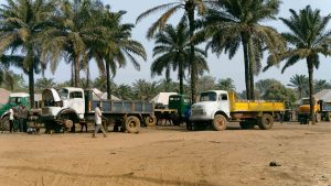 Old haulage trucks and tippers parked at a dusty truck park under tall palm trees, with drivers and mechanics standing nearby
