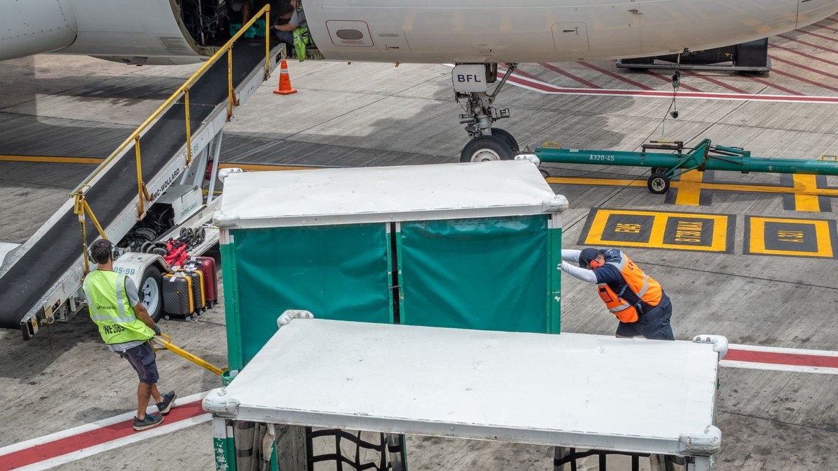 Ground crew pushing covered baggage and cargo carts towards a belt loader at the hold of a passenger aircraft